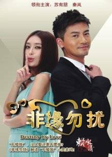 过期米线线喵-坠落天使 [64P+87MB]